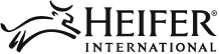 HEIFER